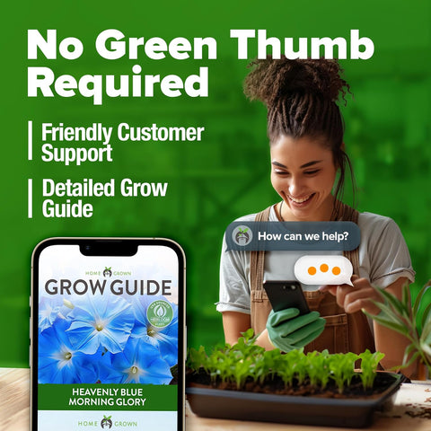 Heavenly Blue Morning Glory Seeds – Non-GMO Heirloom Flower Seeds For Planting, High Germination, Pollinator-Friendly Garden Blooms