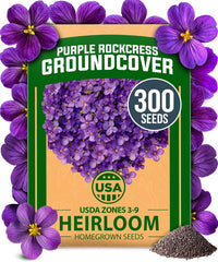 Aubrieta Rock Cress Seeds – Perennial Flowering Ground Cover (300 Seeds)