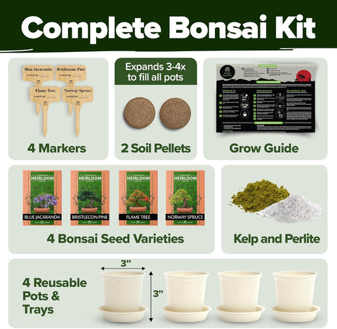 Bonsai Tree Grow Kit
