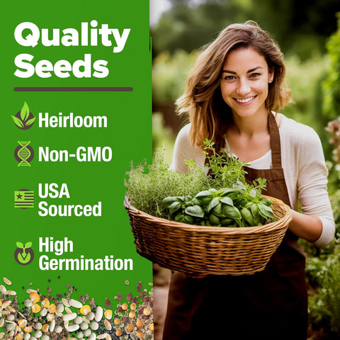 Herb Seed Variety Pack – 6 Non-GMO Culinary Herbs for Indoor, Outdoor & Hydroponic Growing