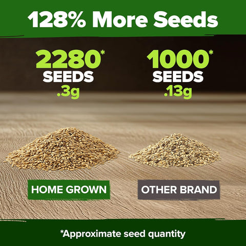 Chamomile Seeds – German Heirloom Variety (2,280 Seeds)