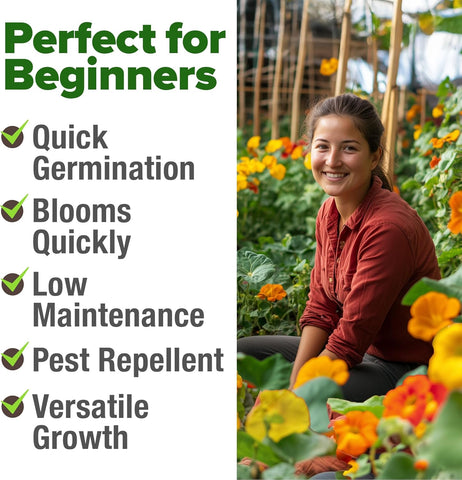 Nasturtium Seeds – Edible Flower Variety (250 Seeds)