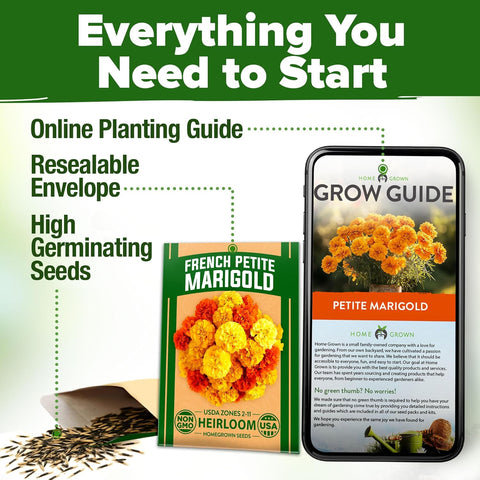 marigold seeds uk French Petite Marigold Seeds, 329 ct, Fast Blooming