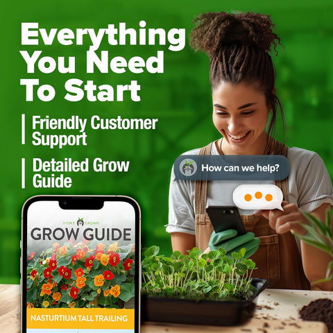 Nasturtium Seeds – Edible Flower Variety (250 Seeds)