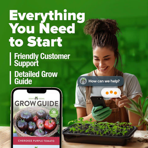 Cherokee Purple Tomato Seeds – 106+ USA-Grown Non-GMO Heirloom Seeds with High Germination