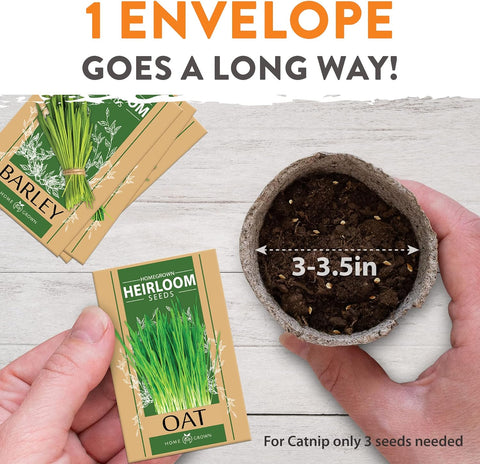 to plant cat grass should seeds be covered with soil Cat Grass Seeds, 495+ ct, USA Grown Heirloom