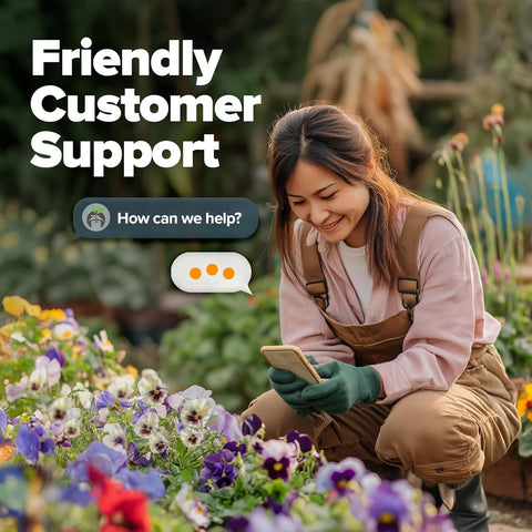 Pansy Mix Swiss Giant Seeds – Heirloom Viola Variety (1,500 Seeds)