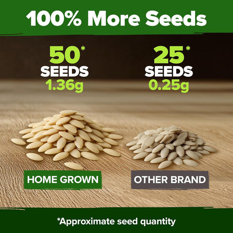 Beit Alpha Persian Cucumber Seeds – 100+ Fast-Growing Non-GMO Seeds