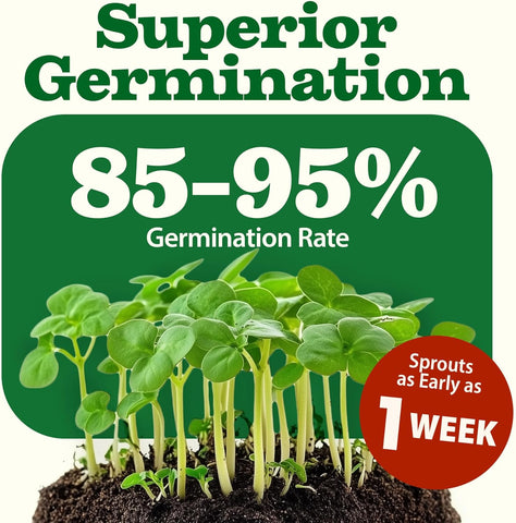 70 Variety Herb & Vegetable Seed Pack – 32,000+ Non-GMO Heirloom Seeds with Grow Guide (USA Sourced)