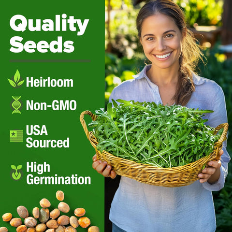 Arugula Seeds – 4,350 Non-GMO Heirloom Seeds (2 Pack) for Fast-Growing Garden Greens