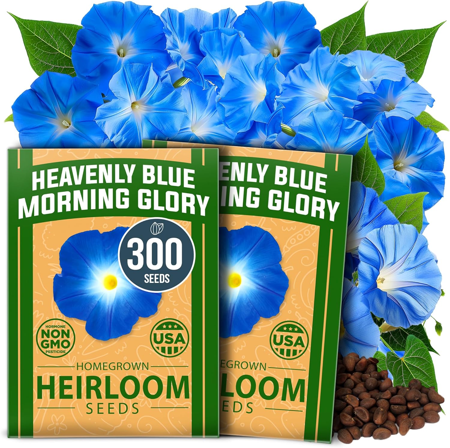 Heavenly Blue Morning Glory Seeds – Non-GMO Heirloom Flower Seeds For Planting, High Germination, Pollinator-Friendly Garden Blooms