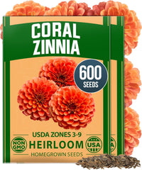 Coral Zinnia Flower Seeds – Pack of 2 (300 Seeds Each) | Zinnia elegans Coral Pink Easy-Grow Annual Summer Blooms for Planting Outdoors 2026