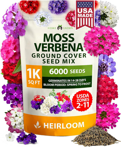 Verbena Seeds – Perennial & Annual Ground Cover Variety (6000 Seeds)