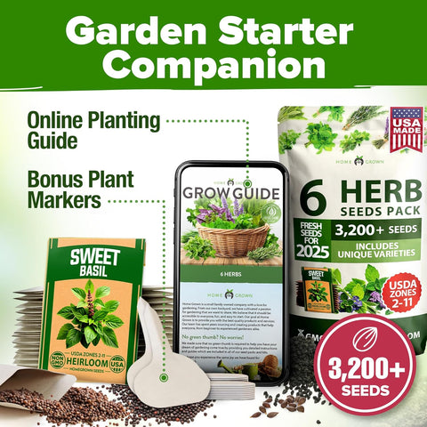 Herb Seed Variety Pack – 6 Non-GMO Culinary Herbs for Indoor, Outdoor & Hydroponic Growing