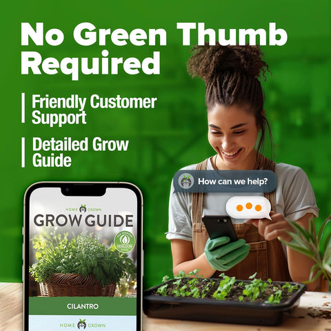 Heirloom Cilantro Seeds for Planting – Non-GMO Herb Seeds, High Germination, Indoor & Outdoor Garden-Friendly