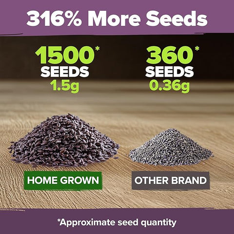 English Lavender Seeds- (1,500+ Non-GMO Heirloom Seeds)
