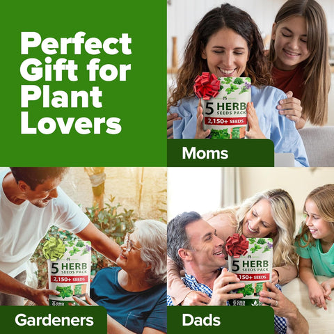 Herb Seed Variety Pack – 5 Non-GMO Culinary Herb Seeds for Indoor & Outdoor Growing