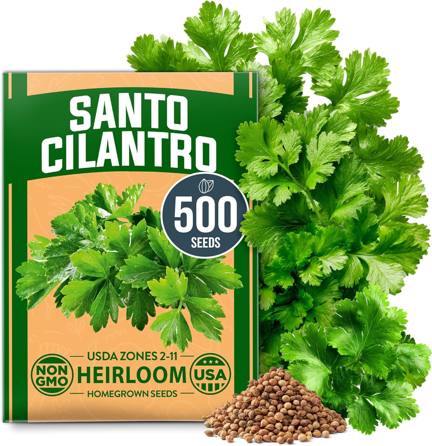 Santo Cilantro Seeds – Non-GMO Heirloom Cilantro Seeds for Planting Indoors & Outdoors | High Germination, Beginner-Friendly Herb Garden Seeds