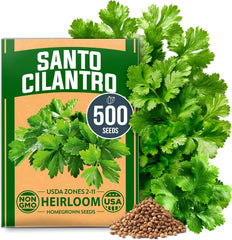 Santo Cilantro Seeds – Non-GMO Heirloom Cilantro Seeds for Planting Indoors & Outdoors | High Germination, Beginner-Friendly Herb Garden Seeds