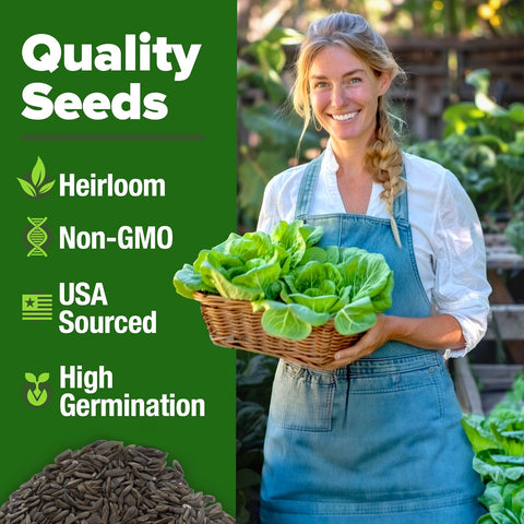 Buttercrunch Lettuce Seed Pack - 1975 Non-GMO Seeds