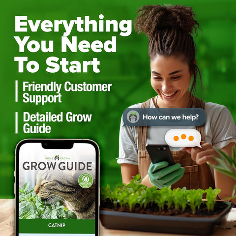 Catnip Seeds for Planting – Premium Non-GMO Heirloom Cat Herb (4,232 Seeds)