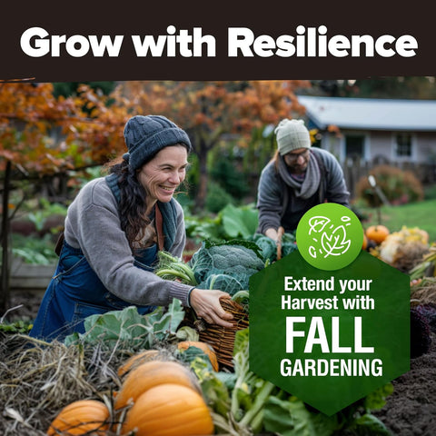 Fall & Winter Vegetable Seed Pack – 6,000+ Non-GMO Heirloom Seeds for Cold-Season Gardening – Easy-Grow Cool Weather Veggies