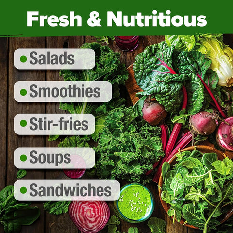 20-Variety Lettuce Seed Pack – 21,600+ Non-GMO Heirloom Salad Greens for Indoor & Outdoor Growing