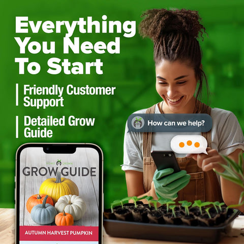 5 Pumpkin Mix Seeds (40 Count) – Premium Heirloom, Non-GMO, Decorative & Edible Varieties – High Nutrition & Rich Flavor