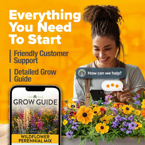 Annual Wildflower Seed Mix (21 Varieties, 110,600+ Seeds, 3oz) – Non-GMO Pollinator Garden Blend