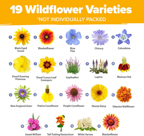 47,400+ Wildflower Seeds Mix – 19 Non-GMO Perennial & Annual Varieties for Pollinator Gardens