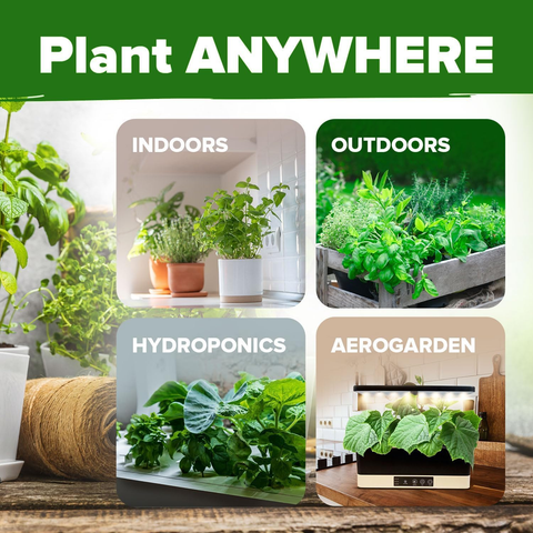 open seed vault herb garden Culinary Herb Seeds, 15 Variety, 5100+ ct, USA Grown