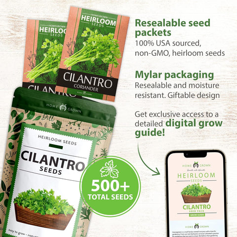 where to buy coriander seeds for planting Cilantro Seeds, Non-GMO Heirloom, USA Grown
