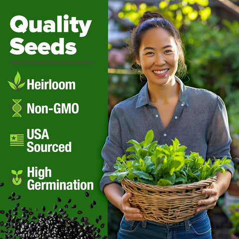 Premium Common Mint Seeds Pack - 1800 Non-GMO Seeds