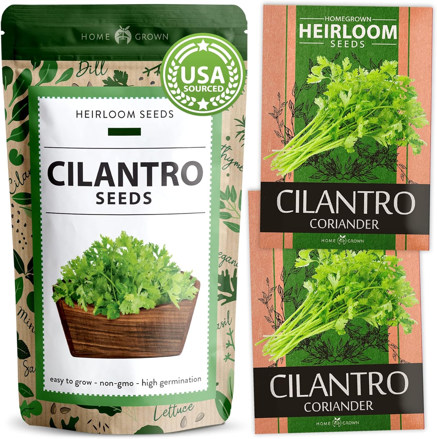 seed of cilantro plant Cilantro Seeds - 250 Seeds