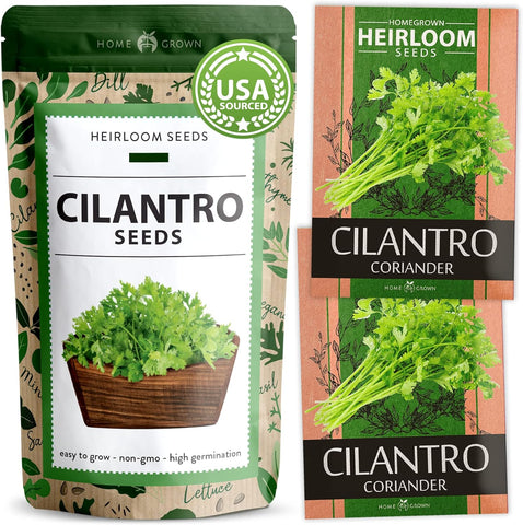 Cilantro Seeds