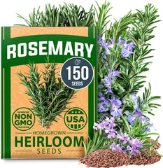 Rosemary Seeds Pack - 150 Non-GMO Seeds