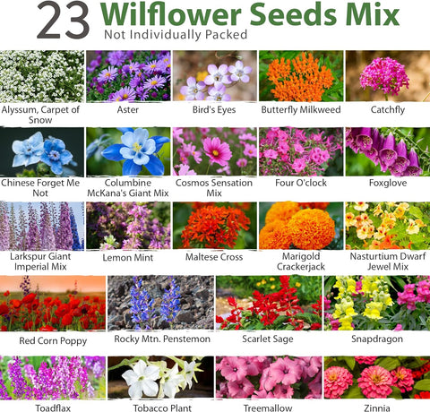 Wildflower Seeds - Premium Birds & Butterflies Seed Collection
