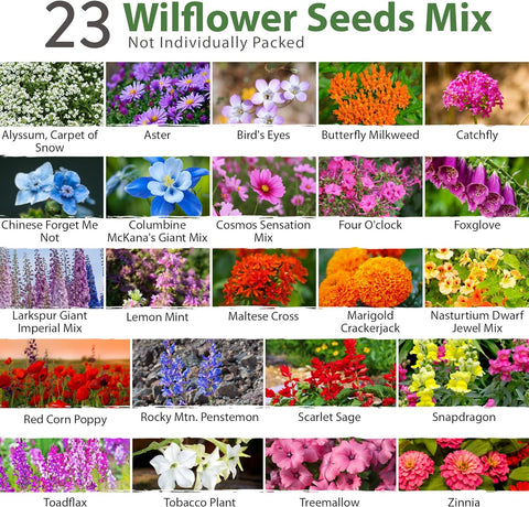 flower seed companies usa Wildflower Seeds, 23 Varieties, 3oz, Pollinators