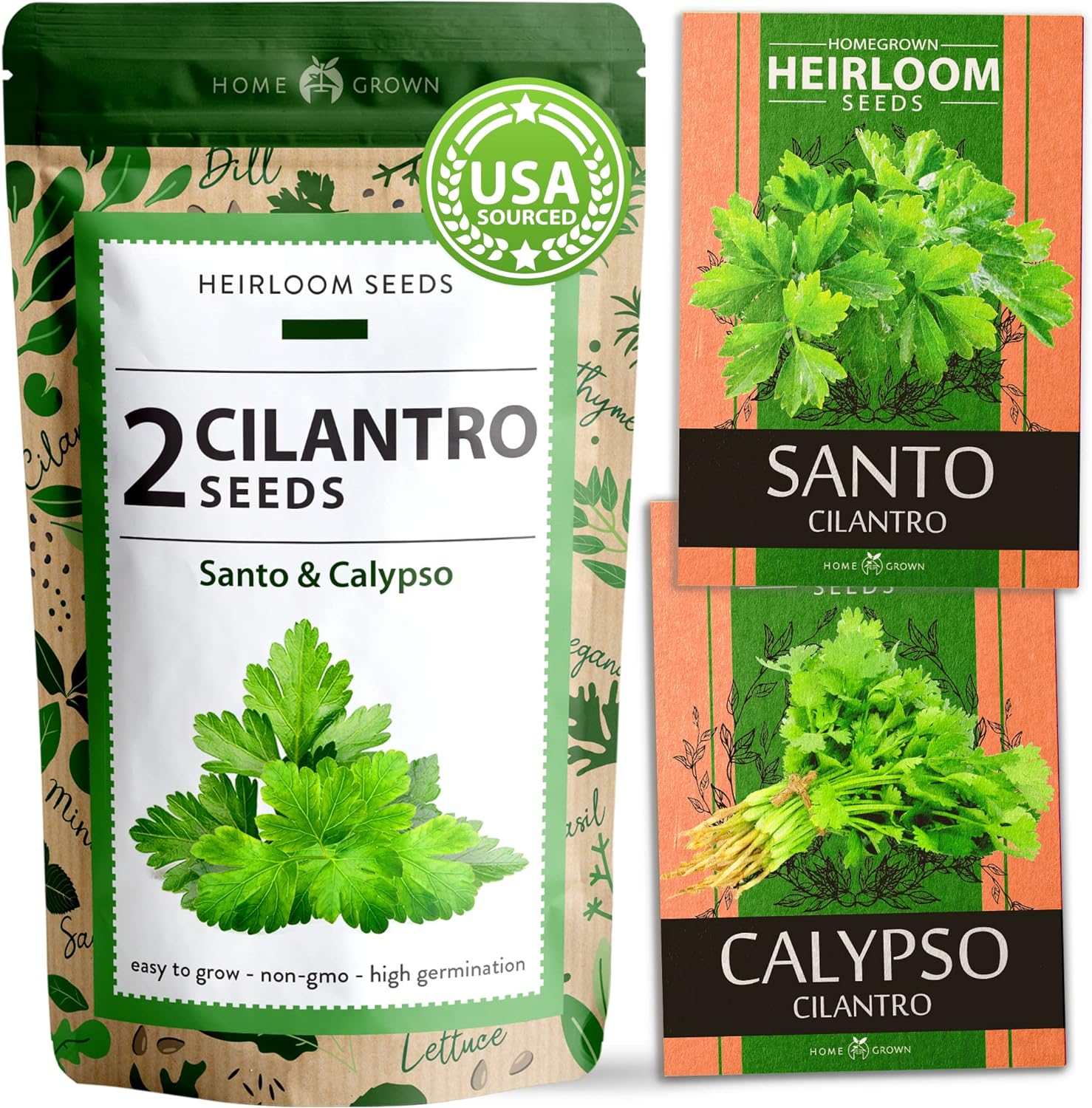 Cilantro Seeds (Santo/Calypso)