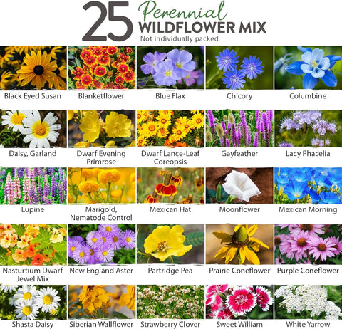 birth flower seeds Wildflower Seeds Perennial Mix, 25 Variety, 4oz