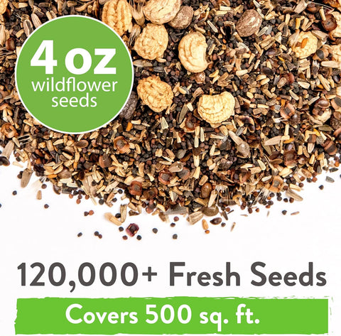 Wildflower Seeds - Perennial - (25 Variety) 4oz