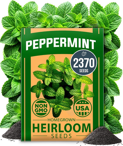 Peppermint Seeds (2370+ Seeds) – Non-GMO, USA-Grown, High-Germination Herb for Tea, Cooking & Wellness