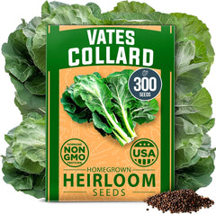 Vates Collard Seeds Pack - 300 Non-GMO Seeds