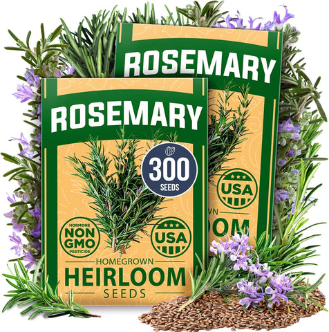 Rosemary Seeds 2 Pack - 300 Non-GMO Seeds