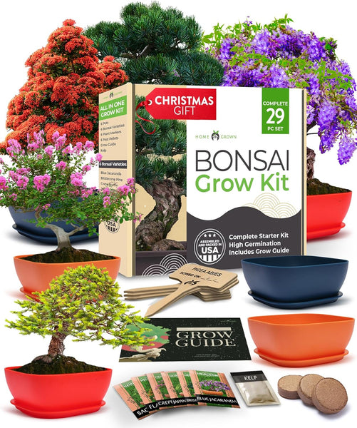 Bonsai Starter Kit, 6 Seed Varieties, USA Grown - Homegrown Garden