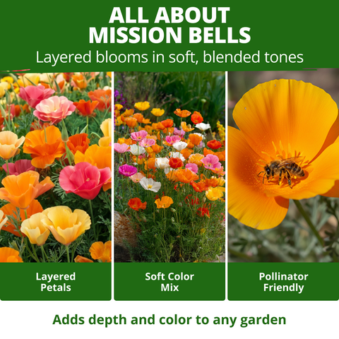 HOME GROWN California Poppy 'Mission Bells' Flower Seeds (Eschscholzia californica) – 4400 Heirloom Non-GMO Seeds, Six-Color Mix, Pollinator-Friendly, Heat & Drought Tolerant, Spring 2026 Planting