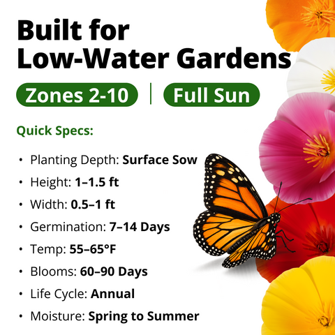 HOME GROWN California Poppy Formula Mix Seeds – 1,000 Eschscholzia californica Seeds (1.3g), Spring 2026 Wildflower Mix for Sunny Gardens