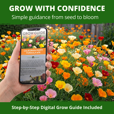 HOME GROWN California Poppy Formula Mix Seeds – 1,000 Eschscholzia californica Seeds (1.3g), Spring 2026 Wildflower Mix for Sunny Gardens