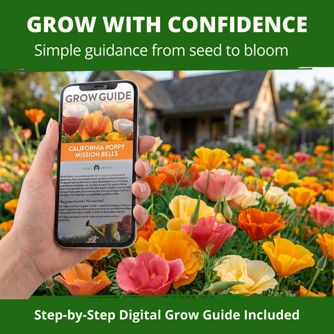 HOME GROWN California Poppy 'Mission Bells' Flower Seeds (Eschscholzia californica) – 4400 Heirloom Non-GMO Seeds, Six-Color Mix, Pollinator-Friendly, Heat & Drought Tolerant, Spring 2026 Planting