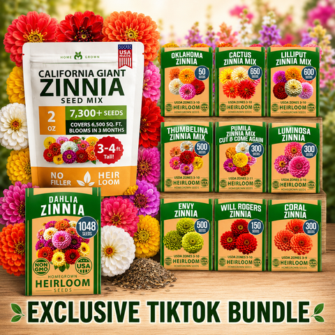Zinnia Flower Seed Variety Collection – California Giant, Dahlia Mix, Oklahoma, Cactus, Lilliput, Thumbelina, Pumila Cut & Come Again, Luminosa, Envy, Will Rogers, Coral Garden Seeds